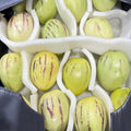 Pepino 1 cassa 2 kg