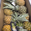 Ananas Baby 1 Cassa 8/10 Pezzi