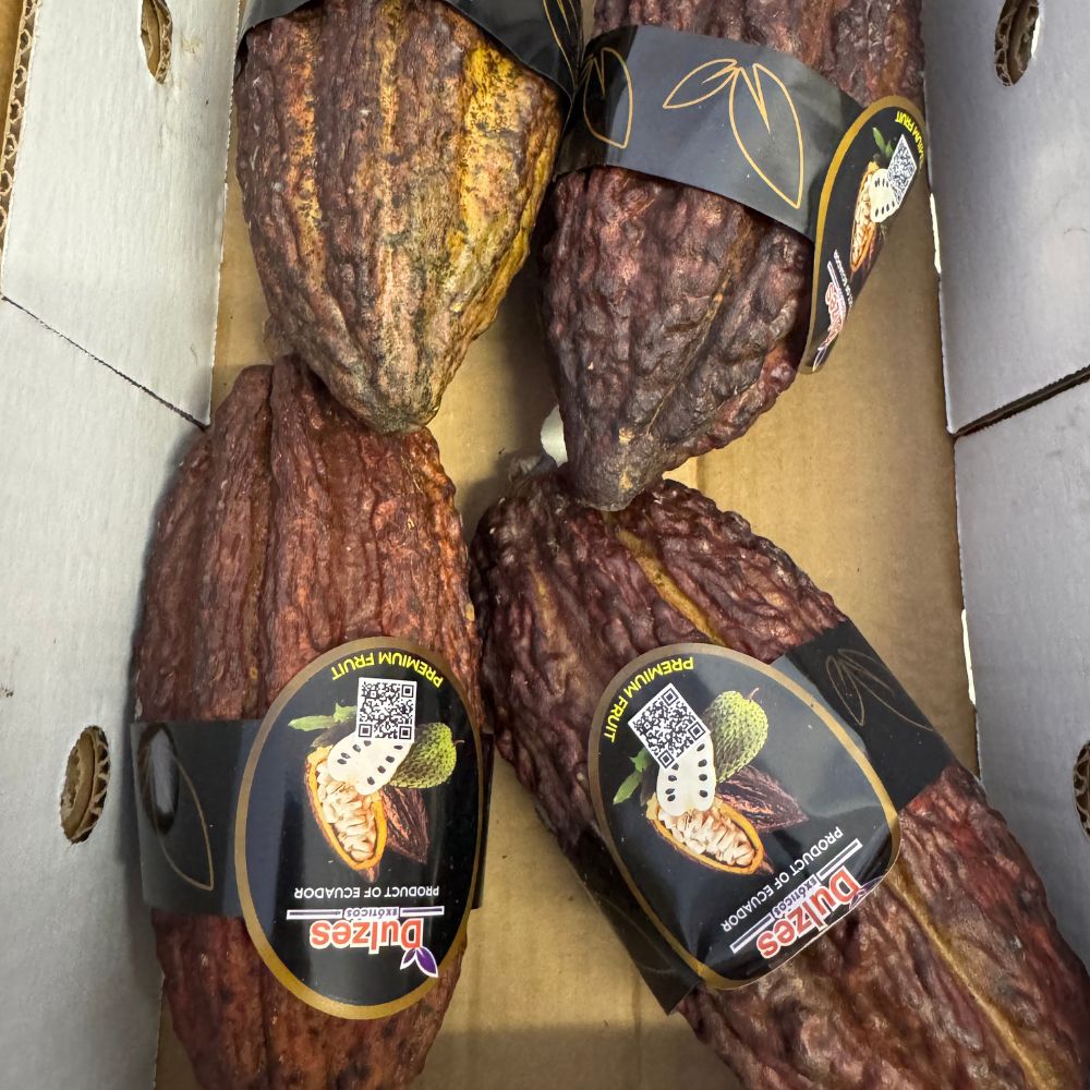 Cacao 1 cassa 4kg