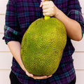 Jackfruit Fresco Premium – Jaca all'Ingrosso