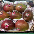 Mango 1 cassa 3kg 7/9 pezzi