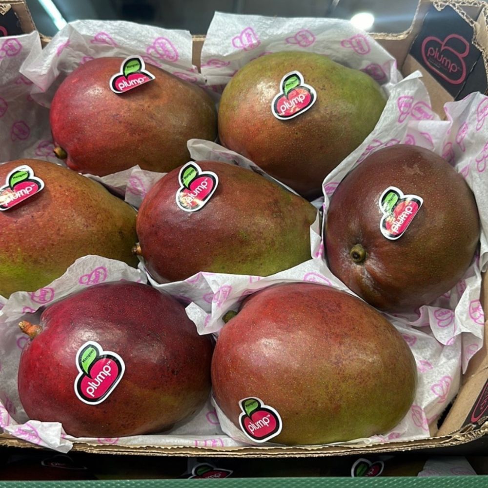 Mango 1 cassa 3kg 7/9 pezzi