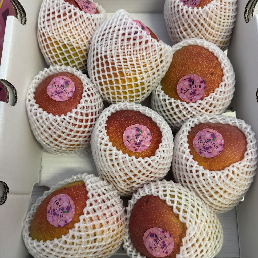 Mango Via Aerea 1 Cassa 8/12 Frutti