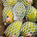 Papaya mini 1 cassa 5/7 Pezzi