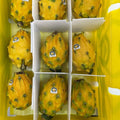 Pitaya Gialla – Dragon Fruit Gialla Premium