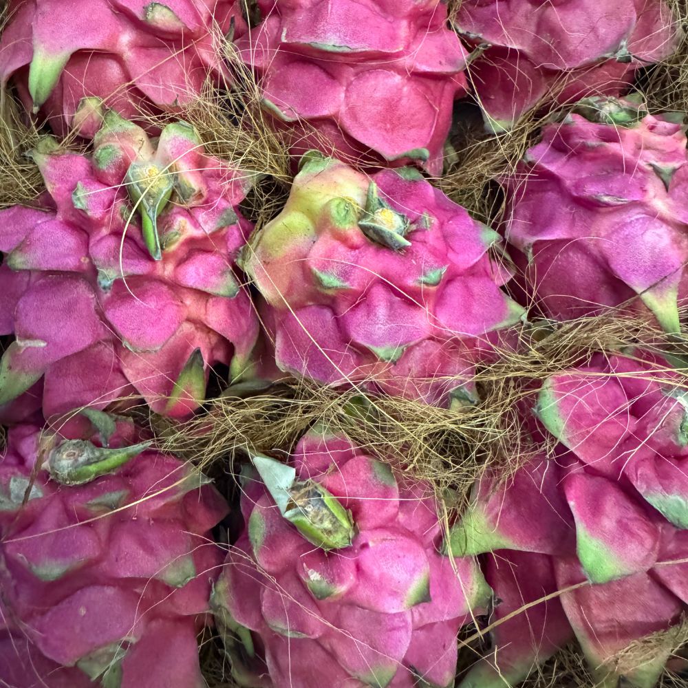 Pitaya Polpa Rossa 1 Cassa 7/9 pezzi