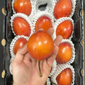 Tamarillo 1 Cassa 3 kg