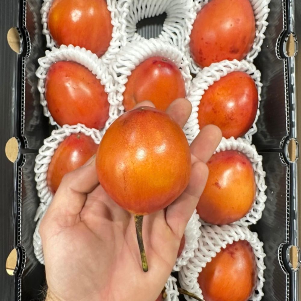 Tamarillo 1 Cassa 3 kg